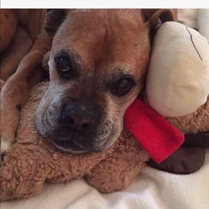 Meet your Posher, Sharon